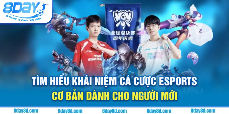 Tìm hiểu khái niệm cá cược Esports cơ bản dành cho người mới